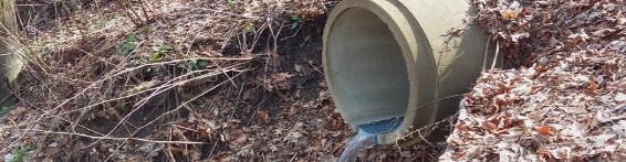Stormwater Outfall MS4